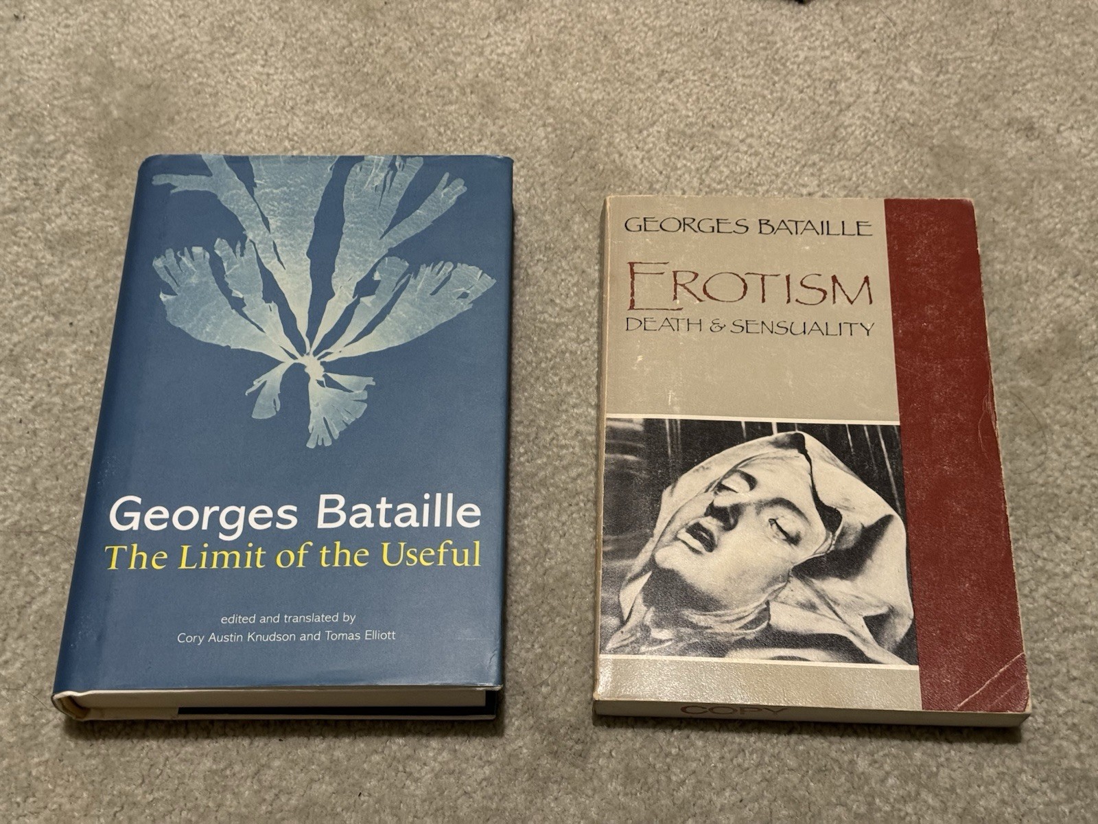 Lot of 2 Books by George Bataille: Limit of the Useful and Erotism Death & Sensa
