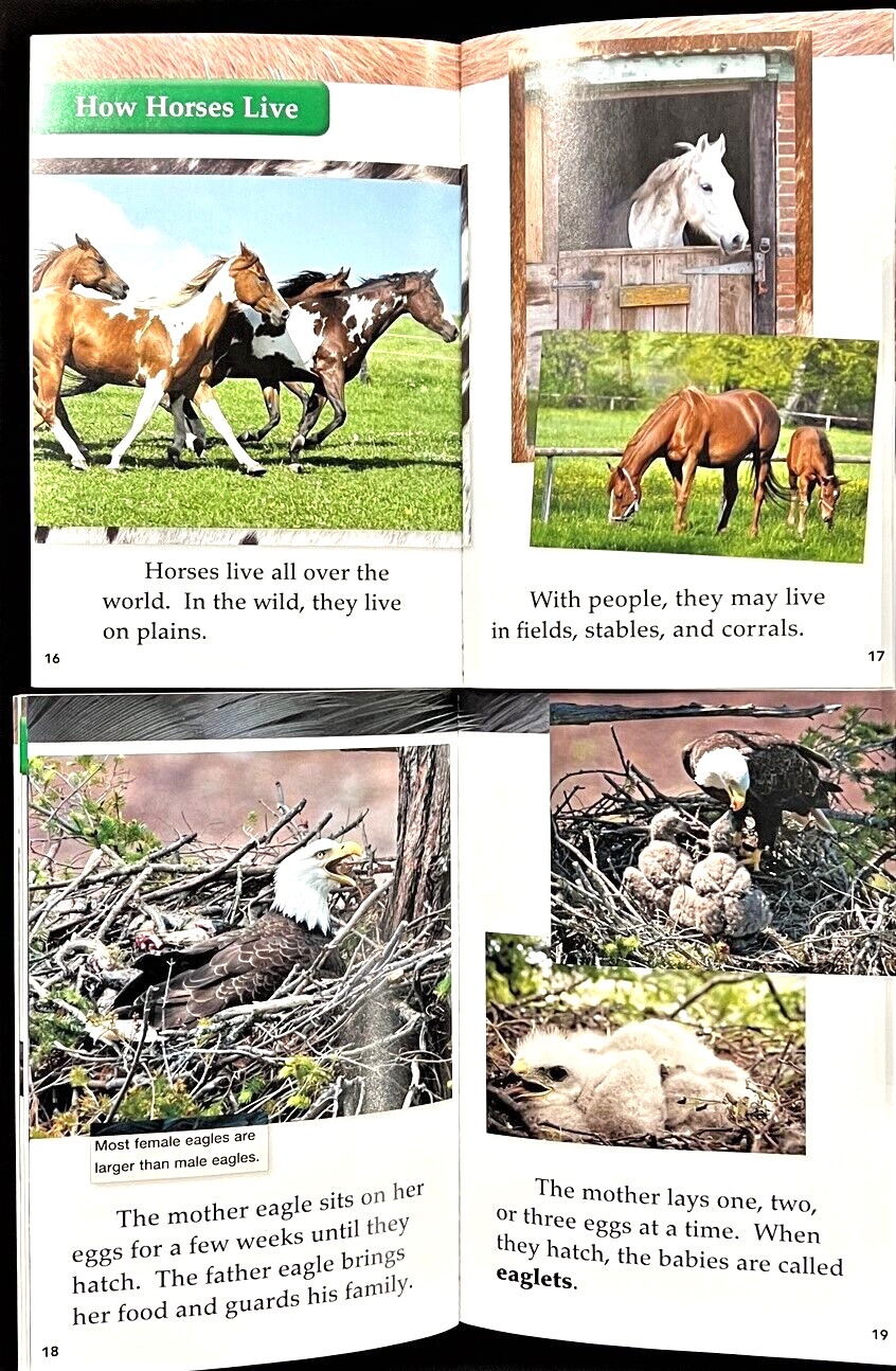 2nd Grade – TIME FOR KIDS (SOCIAL STUDIES & SCIENCE) 30 Nonfiction Reader Books