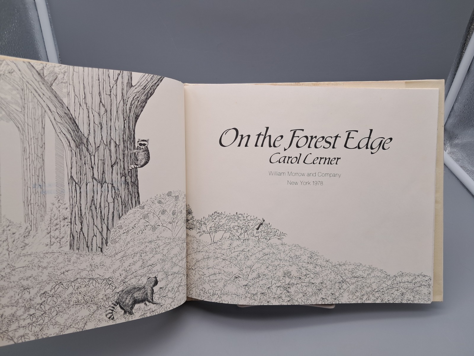 Vintage Picture Book ON THE FOREST EDGE by Carol Lerner