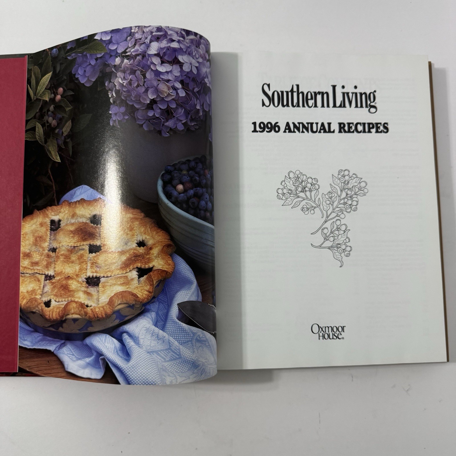 Southern Living 1996 Annual Recipes Cookbook -Every Recipe from 1996, 368 Pages