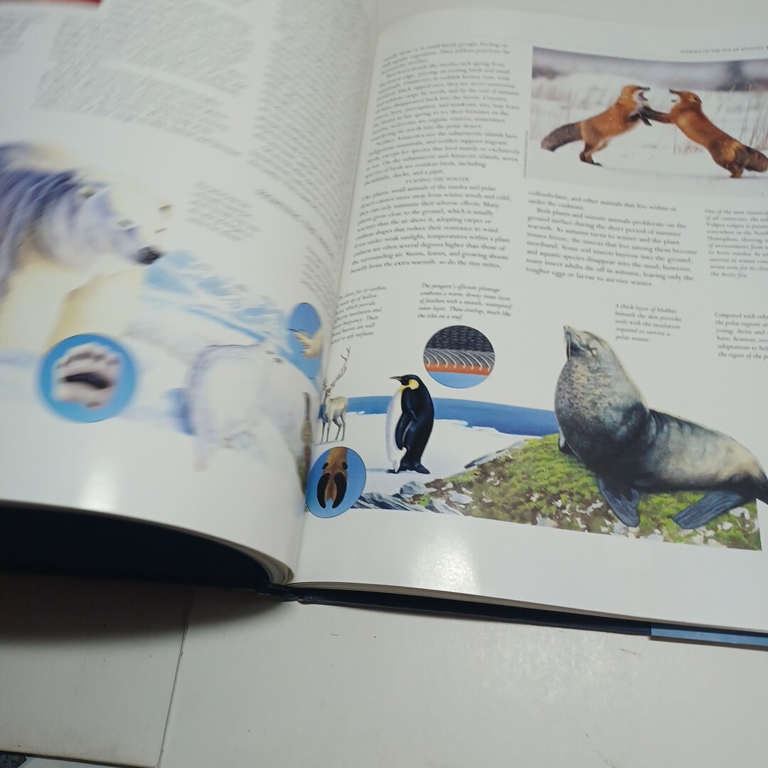 Polar Regions The Illustrated Library Of The Earth