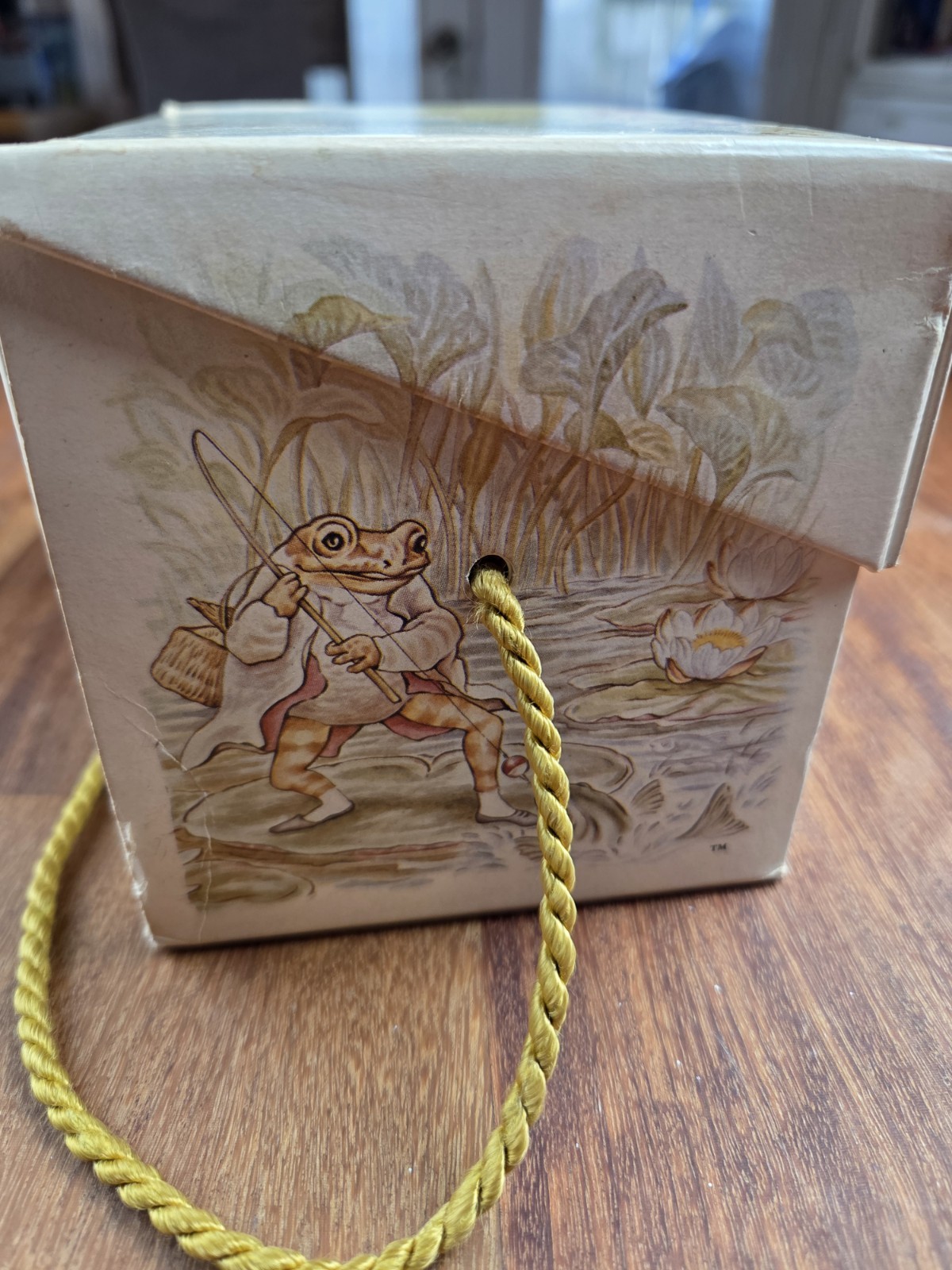 Beatrix Potter Collection Boxed Set 12 Mini Hardcover Books Peter Rabbit #1258