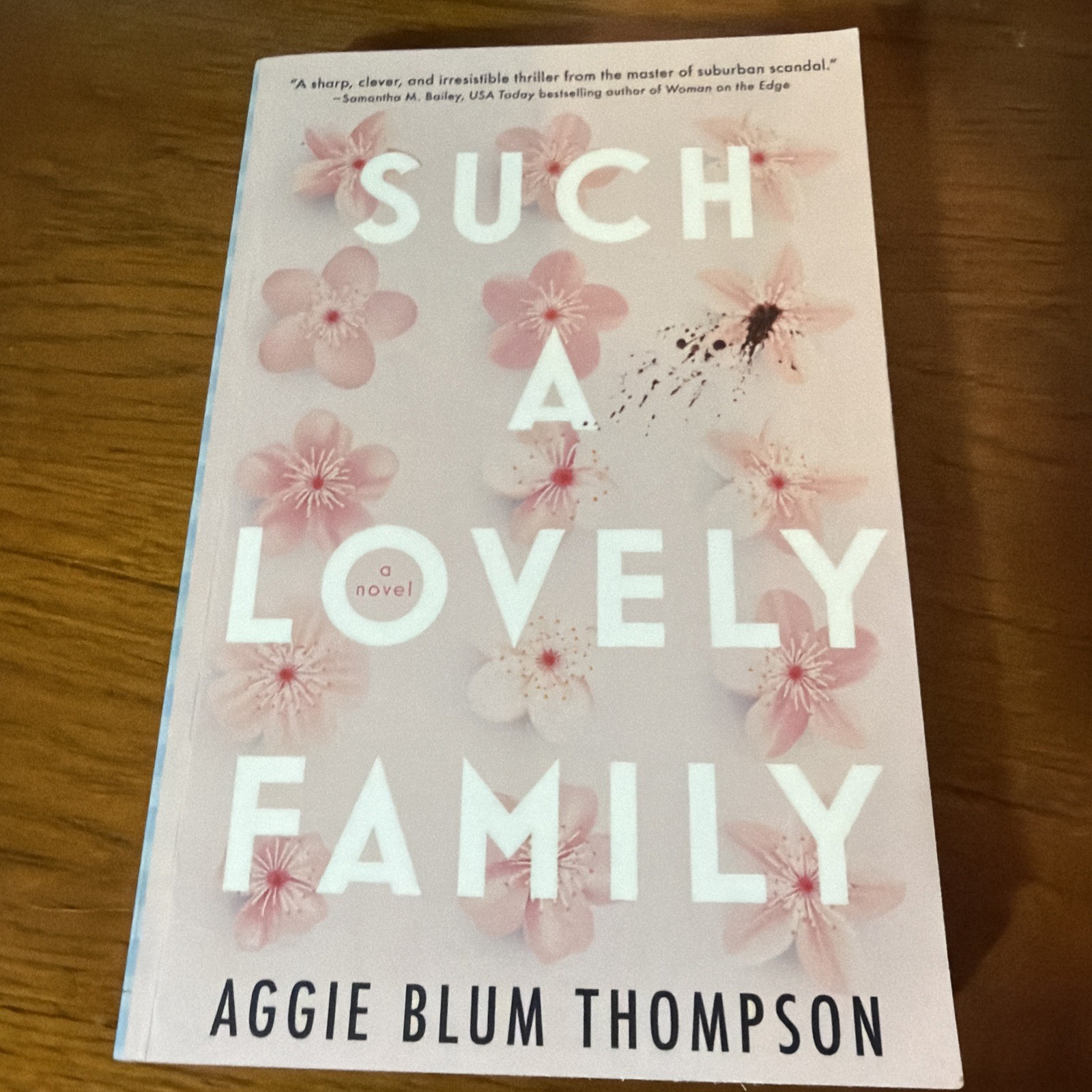 Such a Lovely Family by Aggie Blum Thompson (2024, Trade Paperback)