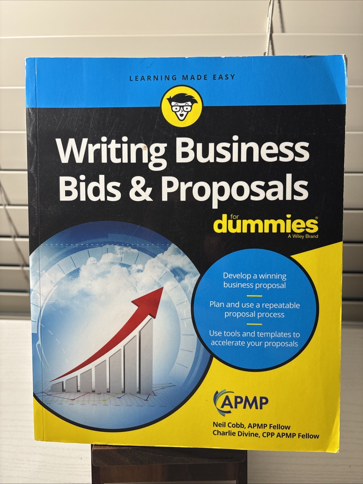 Writing Business Bids & Proposals For Dummies APMP Wiley Paperback