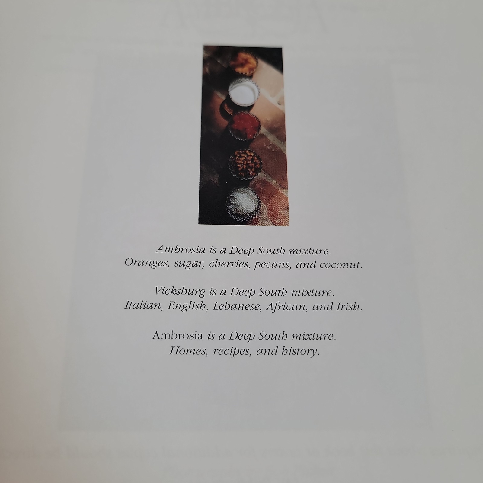 Ambrosia Deep South Mixture Homes Recipes History Vicksburg MS HC 1997 Cookbook