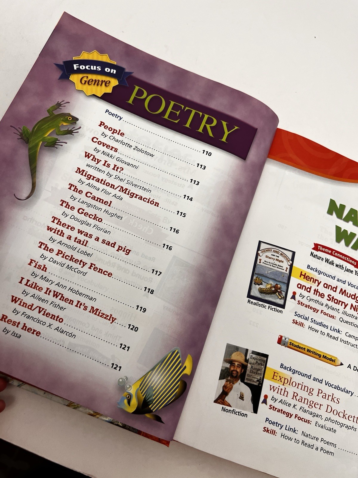 HOUGHTON MIFFLIN READING: Student Anthology Textbook Grade 2.1 Adventures – GOOD