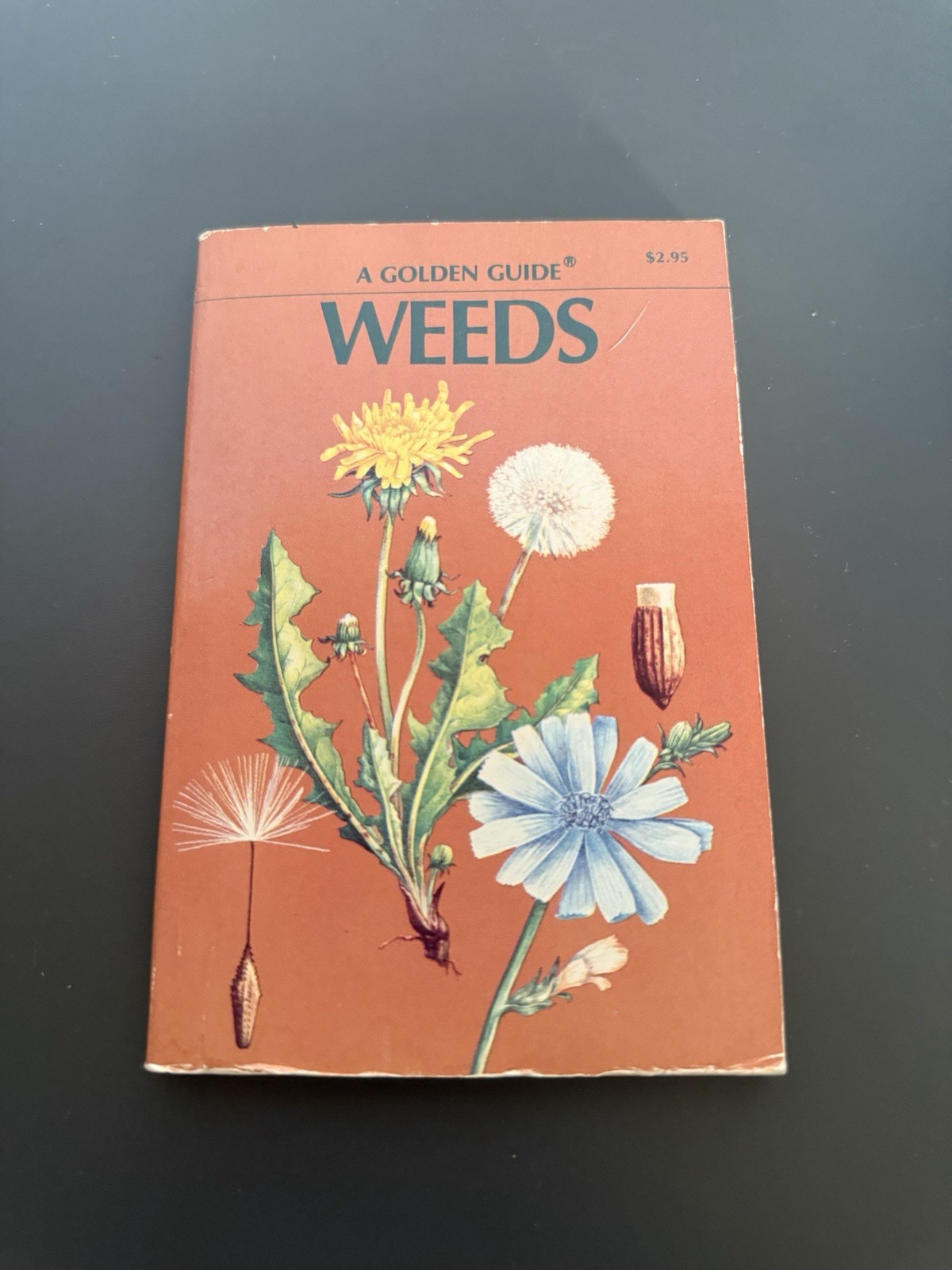 Weeds: A Golden Guide Paperback Book by Alexander C. Martin 1972 Vintage