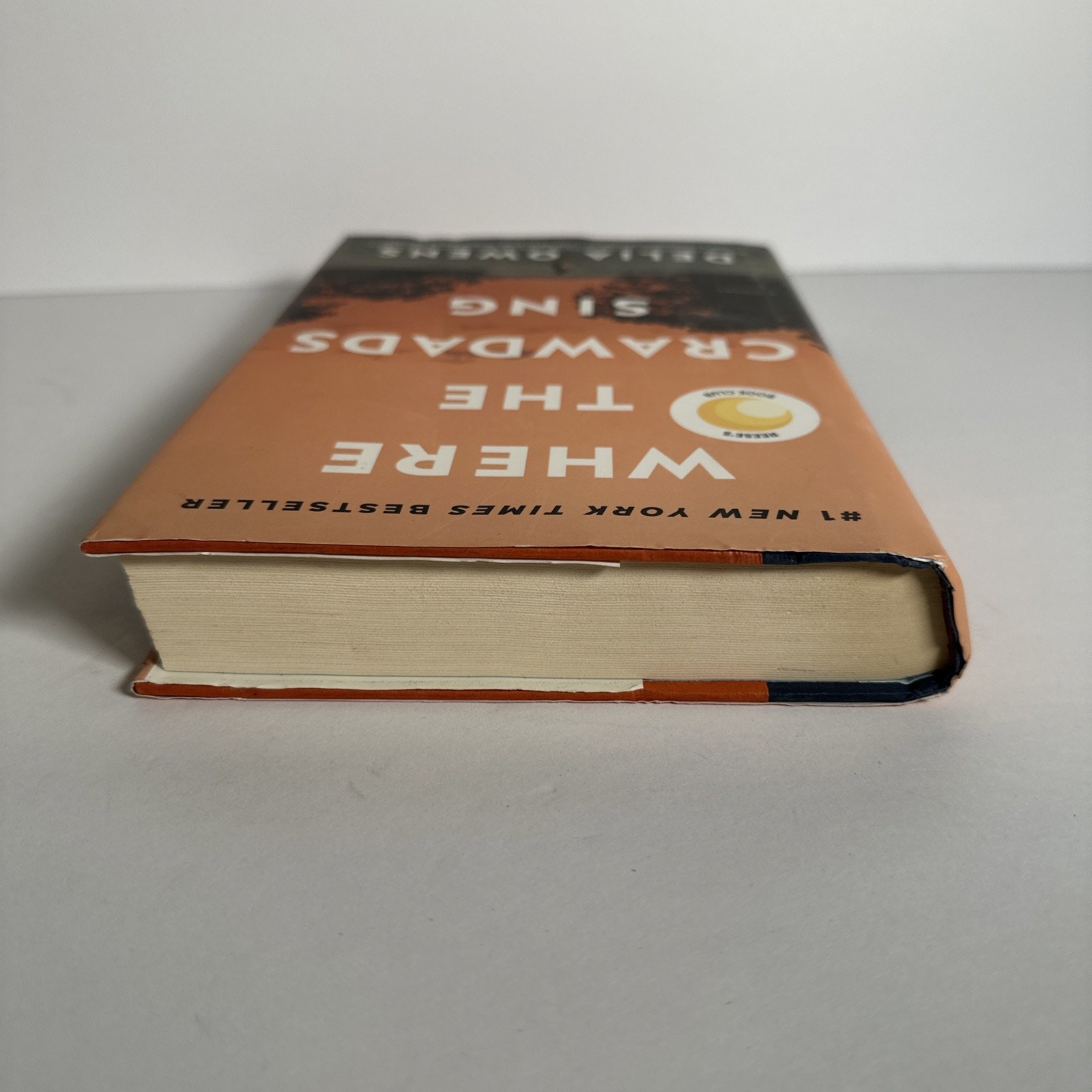 Where the Crawdads Sing – Hardcover By Owens, Delia – GOOD