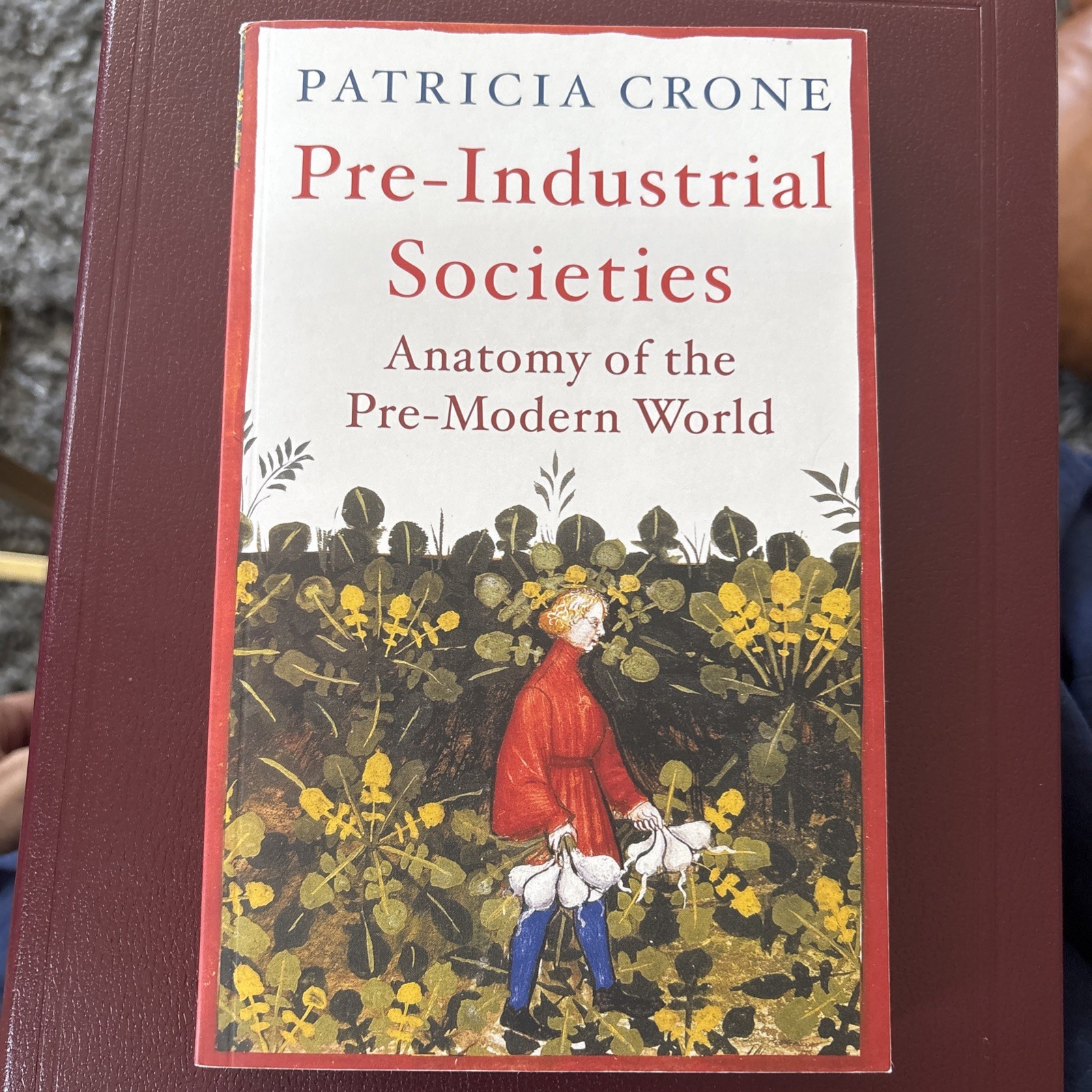 Pre-Industrial Societies: Anatomy of – Paperback, by Crone Patricia – Very Good