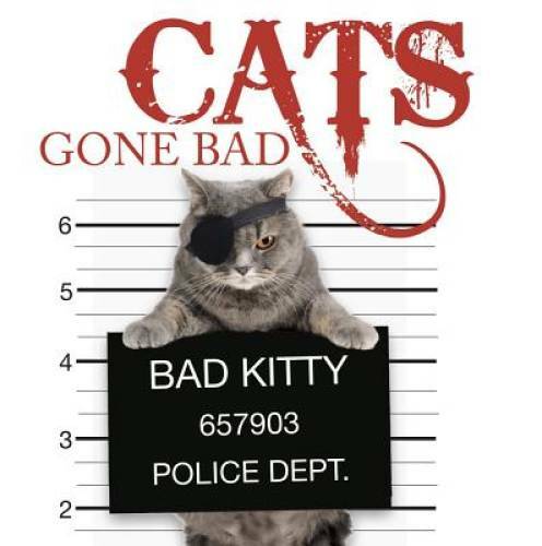 Cats Gone Bad – Hardcover By Amber Books – VERY GOOD