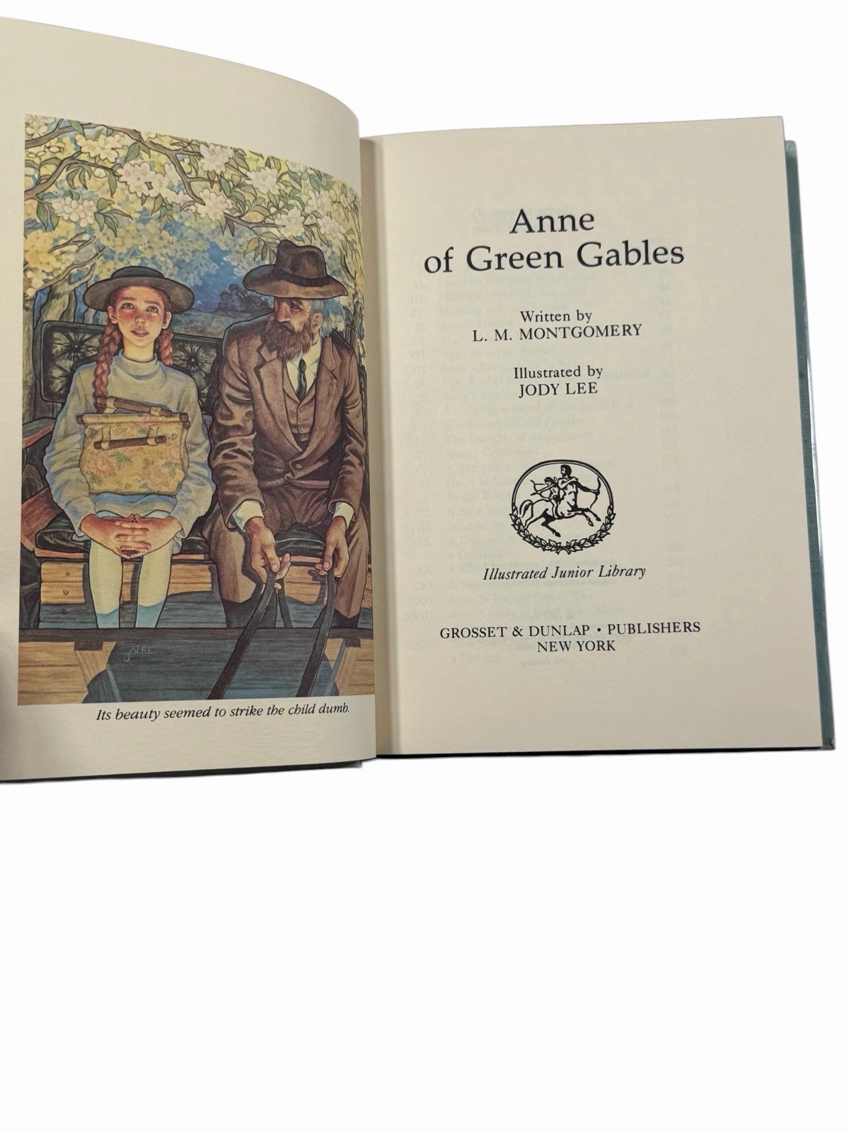 Vintage ILLUSTRATED JUNIOR LIBRARY Lot of 14 Books Oz, Heidi, Jungle, Alice Finn