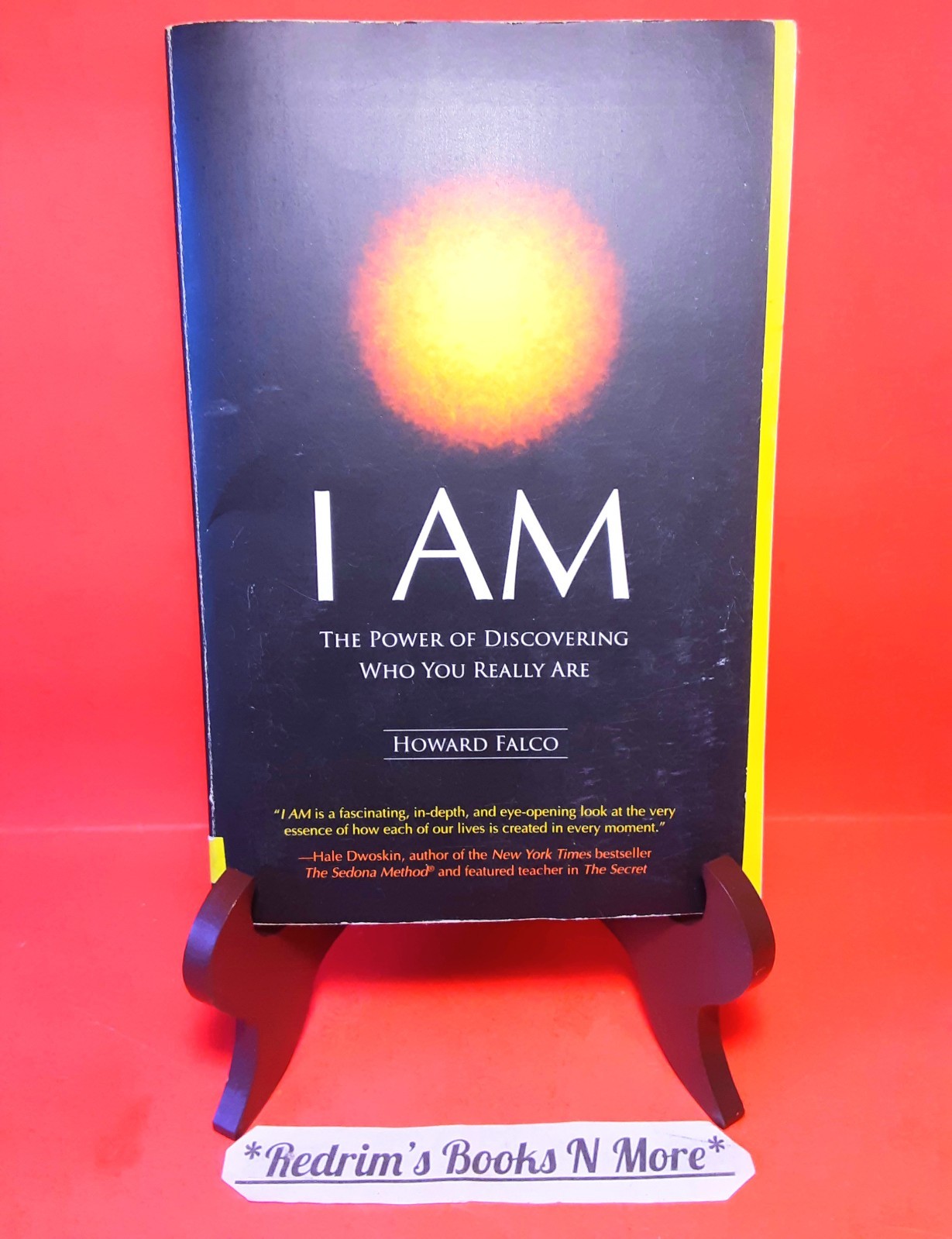I Am The Power Of Discovering Who You Really Are Howard Falco Paperback
