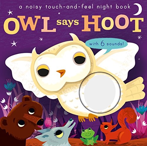 Noisy Touch and Feel: Owl Says Hoot – Board book By Walden, Libby – GOOD