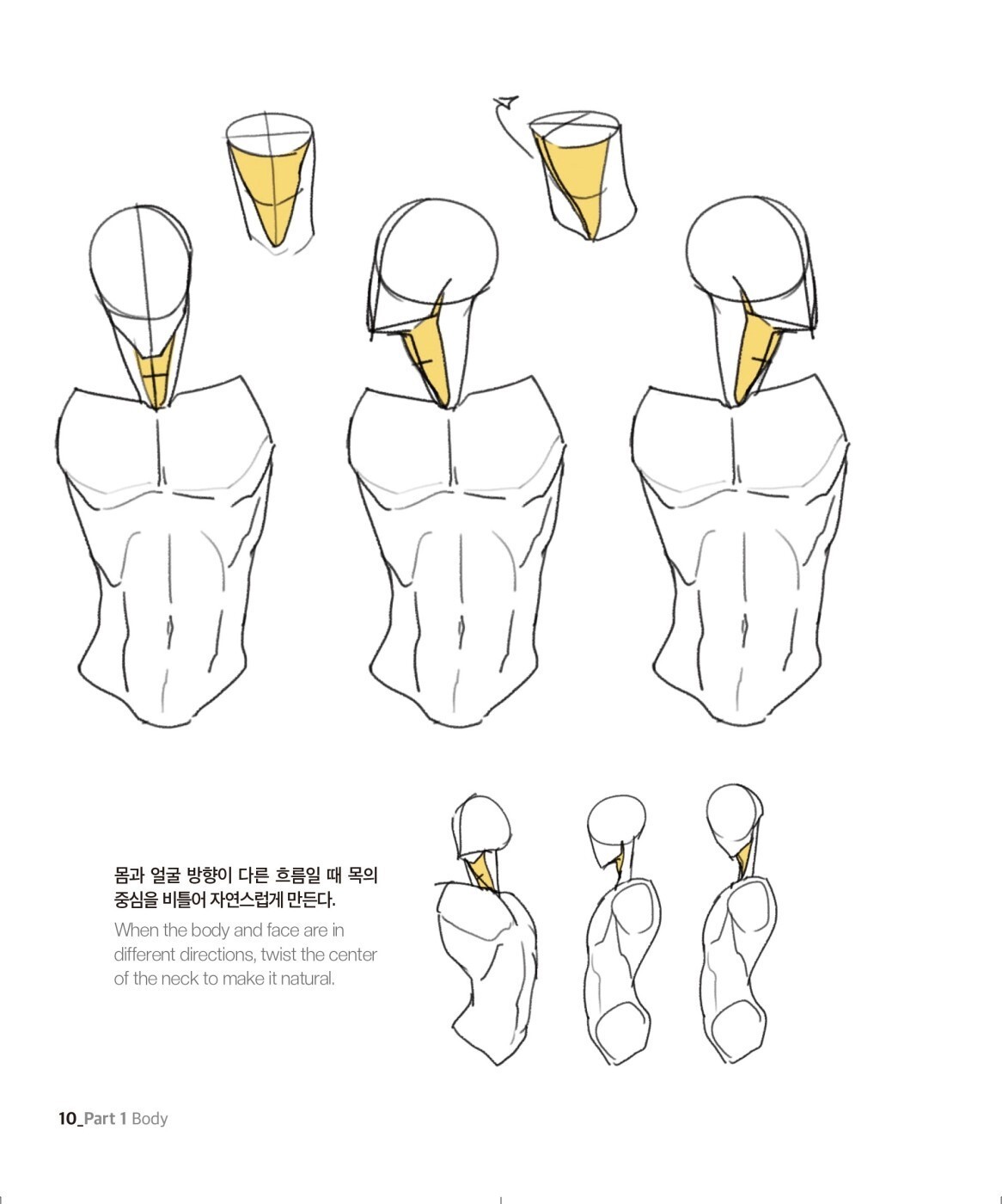 Point Character Drawing by Taco 포인트 캐릭터 드로잉 Total 2 Books Set (Korean) 한국어