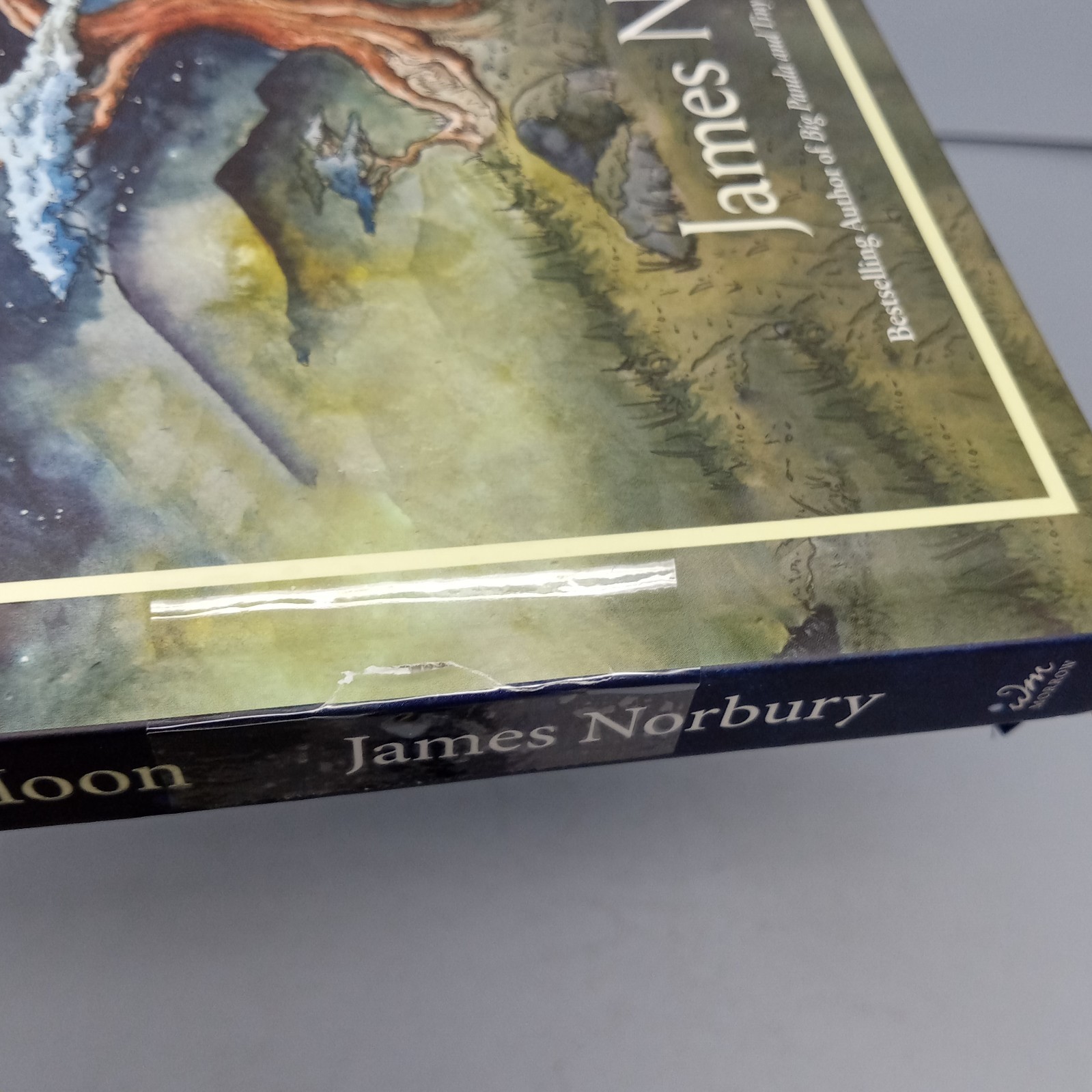 The Dog Who Followed the Moon: 2024 William Morrow Hardcover by James Norbury