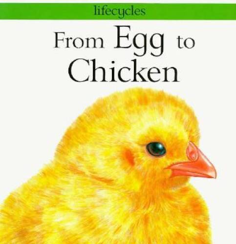 From Egg to Chicken (Lifecycles) – Paperback By Legg, Gerald Scrace – VERY GOOD