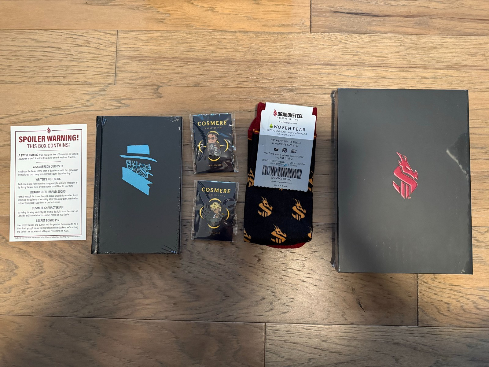 Year of Brandon Sanderson Sanderson Swag Box Dragonsteel Kickstarter With Pins